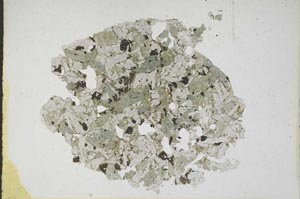 Plane Polarized, S10259