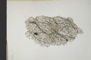 Plane Polarized, S10261
