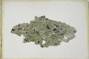 Plane Polarized, S10262
