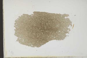 Plane Polarized, S10263