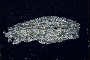 Cross Polarized, S10264