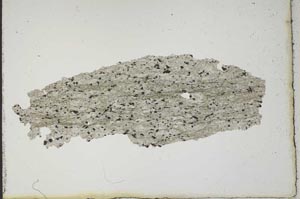 Plane Polarized, S10264