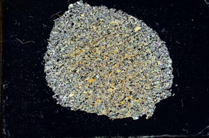 Cross Polarized, S10275