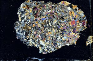 Cross Polarized, S10283