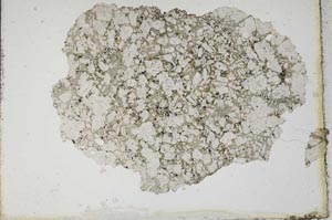 Plane Polarized, S10283