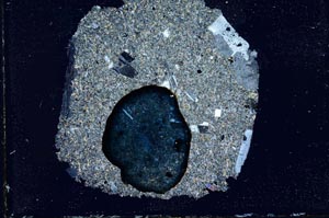 Cross Polarized, S10284