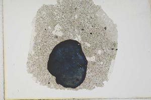 Plane Polarized, S10284