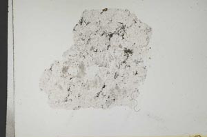 Plane Polarized, S10298
