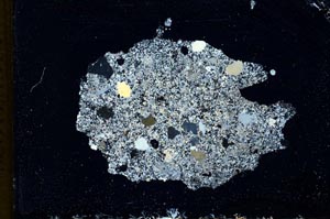 Cross Polarized, S10304