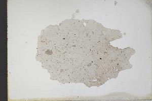 Plane Polarized, S10304