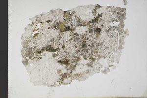 Plane Polarized, S10327