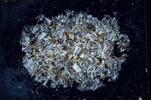 Cross Polarized, S10333