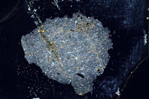 Cross Polarized, S10335