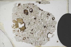 Plane Polarized, S10336