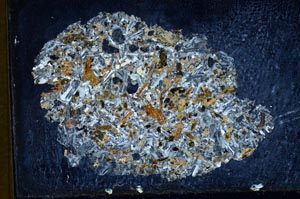 Cross Polarized, S10337