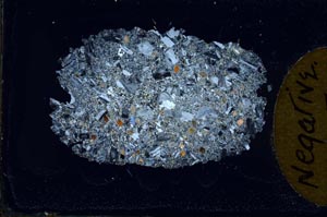 Cross Polarized, S10339