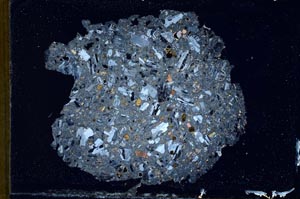 Cross Polarized, S10340