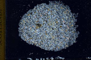 Cross Polarized, S10343