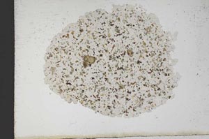 Plane Polarized, S10343