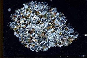 Cross Polarized, S10344