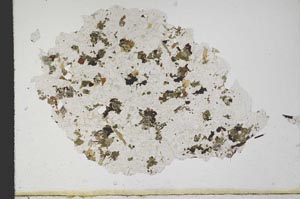 Plane Polarized, S10344