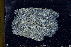 Cross Polarized, S10352