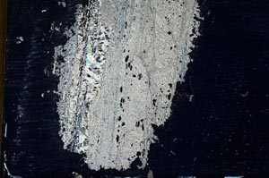 Cross Polarized, S10354