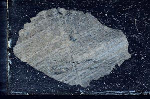 Cross Polarized, S10355