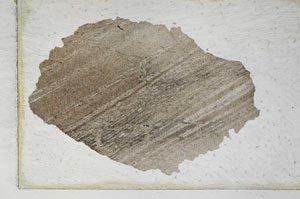 Plane Polarized, S10355