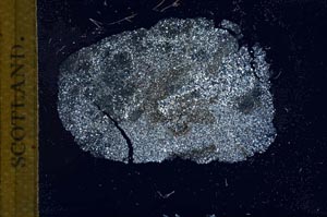 Cross Polarized, S10359