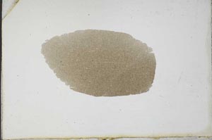 Plane Polarized, S10360