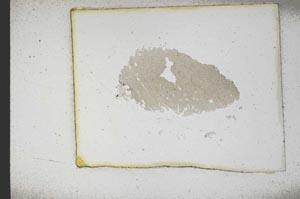 Plane Polarized, S10361