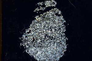 Cross Polarized, S10368