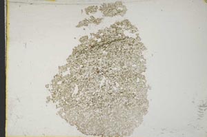 Plane Polarized, S10368