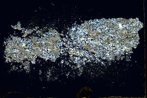 Cross Polarized, S10368/A