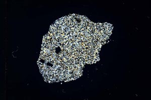 Cross Polarized, S10370