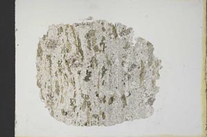 Plane Polarized, S10374