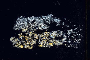 Cross Polarized, S10375