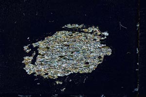 Cross Polarized, S10376