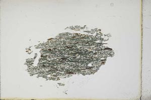 Plane Polarized, S10376