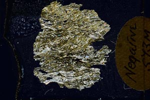 Cross Polarized, S10377