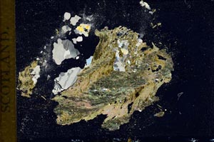 Cross Polarized, S10378