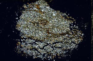 Cross Polarized, S10380