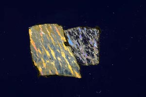 Cross Polarized, S739