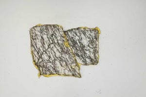 Plane Polarized, S739