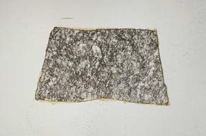 Plane Polarized, S740