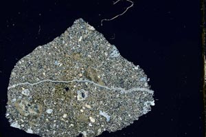 Cross Polarized, S758