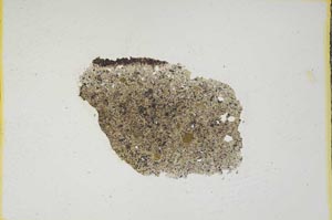 Plane Polarized, S760