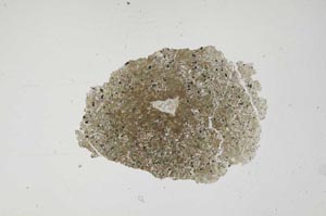 Plane Polarized, S764