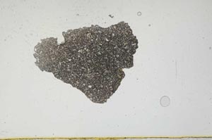 Plane Polarized, S765